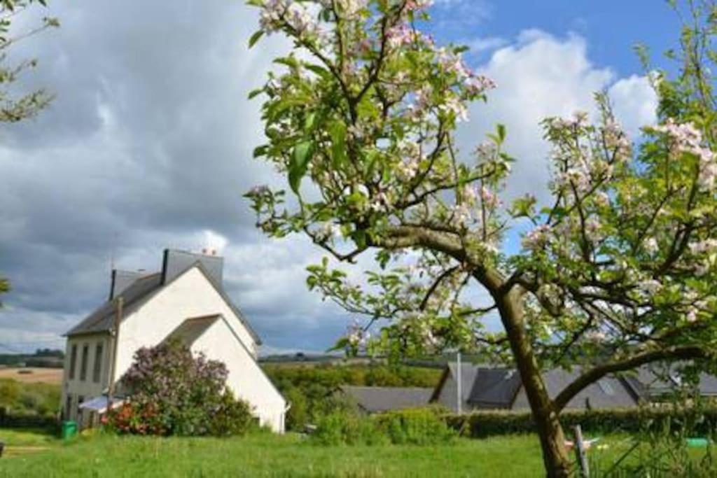 Logement Neuf Aux Portes De La Presqu'Ile Argol Exteriér fotografie